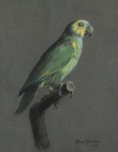 Hansen Sv 1900,A turquoise-fronted amazon parrot,1922,Bruun Rasmussen DK 2022-02-07