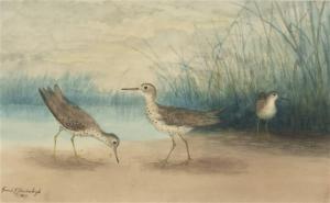 Hardenbergh Gerard 1855-1915,Three Sandpipers,1894,Copley US 2022-07-15