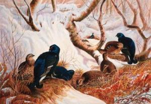 HARDING B 1900-1900,Blackcock and hen pheasants in a Winter landscape,Christie's GB 1999-11-26