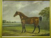 HARDMAN John,Equestrian study of a Bay Hunter,1867,Peter Francis GB 2009-09-22