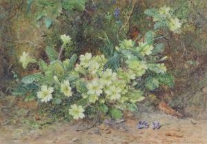 HARDWICK John Jessop 1832-1917,study of primroses,1909,Denhams GB 2023-01-25