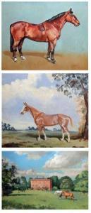 HARE GERALD,Horse Study,1967,Keys GB 2013-04-05