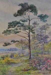 HARE M.E,Rural landscape and aContinental garden,1902,Burstow and Hewett GB 2011-01-26