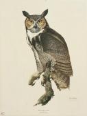 HARM Ray 1926-2015,Great Horned Owl,Hindman US 2011-11-06