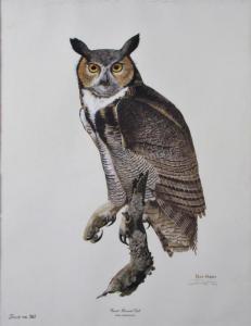 HARM Ray 1926-2015,Great Horned Owl,Wickliff & Associates US 2017-10-28