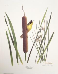 HARM Ray 1926-2015,YELLOW THROAT,1973,Ro Gallery US 2023-08-31