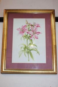 HARMAN Alice 1900-2000,pink tiger lilies,Henry Adams GB 2018-02-15