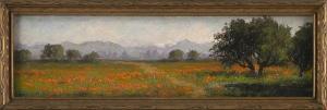 HARMON Annie Lyle 1855-1930,California Poppy Field,Eldred's US 2023-03-23