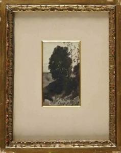 Harpignies Henri Joseph 1819-1916,Vue d'un arbre,Osenat FR 2009-05-24