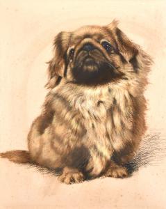 HARRIES Leslie G 1900-1900,A study of a seated dog,John Nicholson GB 2021-04-21