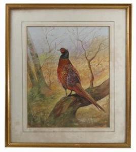 Harrington Frank D,pheasant in wooded landscape,Serrell Philip GB 2017-11-09