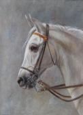 HARRIS A.V 1900-1900,Head study of a white horse,Bonhams GB 2011-09-06