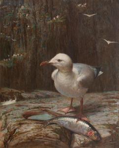 HARRIS George Walter 1835-1912,Herring Gull with herring,1908,Bonhams GB 2017-10-25