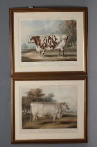 HARRIS John,The Everingham Short Horn Prized Cow,Hartleys Auctioneers and Valuers 2018-11-28