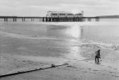 HARRIS Judith Helen,Teignmouth,1987,Bloomsbury London GB 2013-07-31