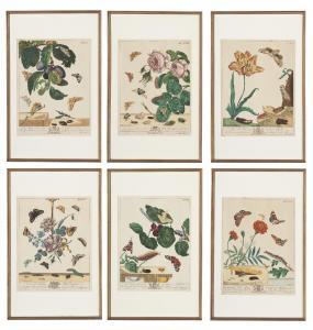 HARRIS Moses 1731-1785,insects and flowers,Christie's GB 2020-08-20