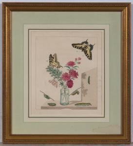 HARRIS Moses 1731-1785,PLANT AND INSECT STUDIES,William Doyle US 2019-07-18