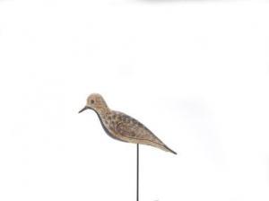 HARRIS William A 1862-1912,Black-Bellied Plover,1890,Copley US 2021-07-09