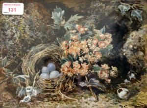 HARRISON A 1800-1800,Still life birds nest,Warren & Wignall GB 2013-05-15