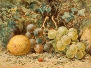 HARRISON D 1800-1900,Still Life with Grapes,1891,David Lay GB 2015-01-15