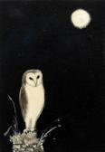 HARRISON David 1954,White Owl,2017,Mallams GB 2019-05-23