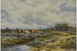 HARRISON Elbert,Cattle in a pasture,Andrew Smith and Son GB 2015-05-19