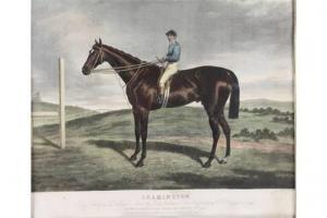 HARRISON J 1800-1800,Equestrian study,Denhams GB 2015-10-21