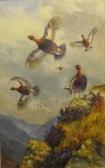 HARRISON J. Scott 1900-1900,Grouse,Shapes Auctioneers & Valuers GB 2012-02-04