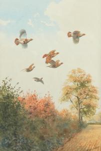 HARRISON John Cyril 1898-1985,A flush of partridge; A flush of pheasa,Bellmans Fine Art Auctioneers 2024-03-28