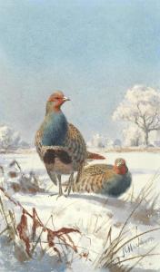 HARRISON John Cyril 1898-1985,Partridges in a winter landscape,Bonhams GB 2019-03-20