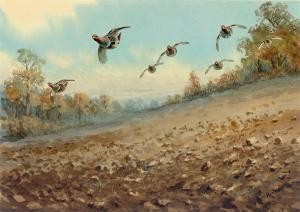 HARRISON John Cyril 1898-1985,Partridges in flight,Christie's GB 2010-01-12