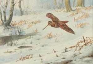 HARRISON John Cyril,Woodcock - gliding through the covert,Bellmans Fine Art Auctioneers 2024-03-28
