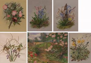 HARRISON ROBIN C 1900-1900,Botanical and floral studies,Keys GB 2016-10-28