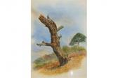 HARRISON ROBIN C 1900-1900,Heathland Scene with Tree Stump and Pine,Keys GB 2015-02-06