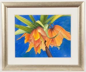 HARRISON SUE,FRITILLARIA,2004,McTear's GB 2014-10-05