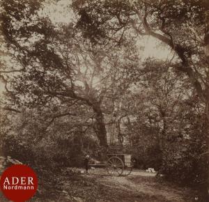 HARRISON William Drooke 1883-1893,Forêt de Fontainebleau,1865,Ader FR 2018-06-21