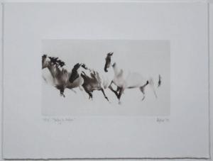 HARRISSON Astrid 1979,Poetry in Motion Photogravure,2008,EVE FR 2011-11-21