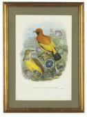 HART William Matthew 1830-1908,Birds of Paradise: Five Prints,Christie's GB 2009-04-01