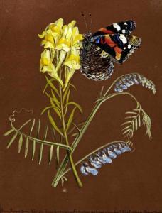 HARTMANN Wilhelm Johann Dan 1793-1862,Schmetterling auf Blütenzweig,Zofingen CH 2018-11-22