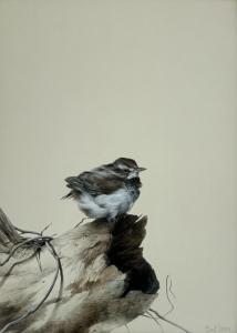 HARVEY Brent 1955,Hen-sparrow,International Art Centre NZ 2023-10-24
