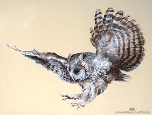 HARVEY Brent 1955,Screech Owl Returning from Hunt,1978,International Art Centre NZ 2013-05-09