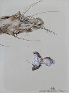 HARVEY Brent 1955,Winter Thrush,International Art Centre NZ 2015-02-25