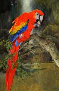 HARVEY Bruce 1931,Scarlet Macaw,Elder Fine Art AU 2022-07-10