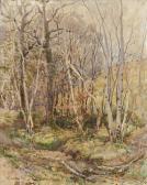 HARVEY Charles Walter 1895-1979,Woodland scene,Dreweatt-Neate GB 2010-11-25