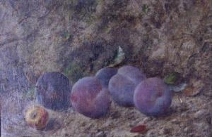 HARVEY william,Still life of five plums and a crab apple on a rocky ledge,Mallams GB 2019-07-29