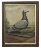 HARVISS C,A pigeon, with a landscape beyond,Christie's GB 2009-07-08