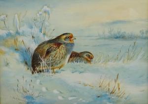 HARWOOD John Hammond 1904-1980,Grey Partridges in the Snow,David Duggleby Limited GB 2020-06-27