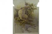 HASLEM Andrew,A study of a sparrowhawk,Charterhouse GB 2015-10-23
