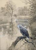 HAUG Christian 1878-1942,A fishing eagle perched on a branch,Christie's GB 2004-06-10