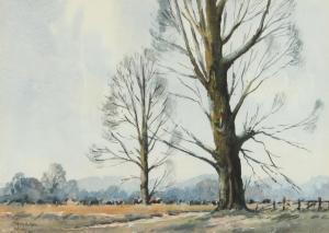 Haughton Wilfred 1921-1999,TREES NORTH ANTRIM,1972,Ross's Auctioneers and values IE 2023-07-19